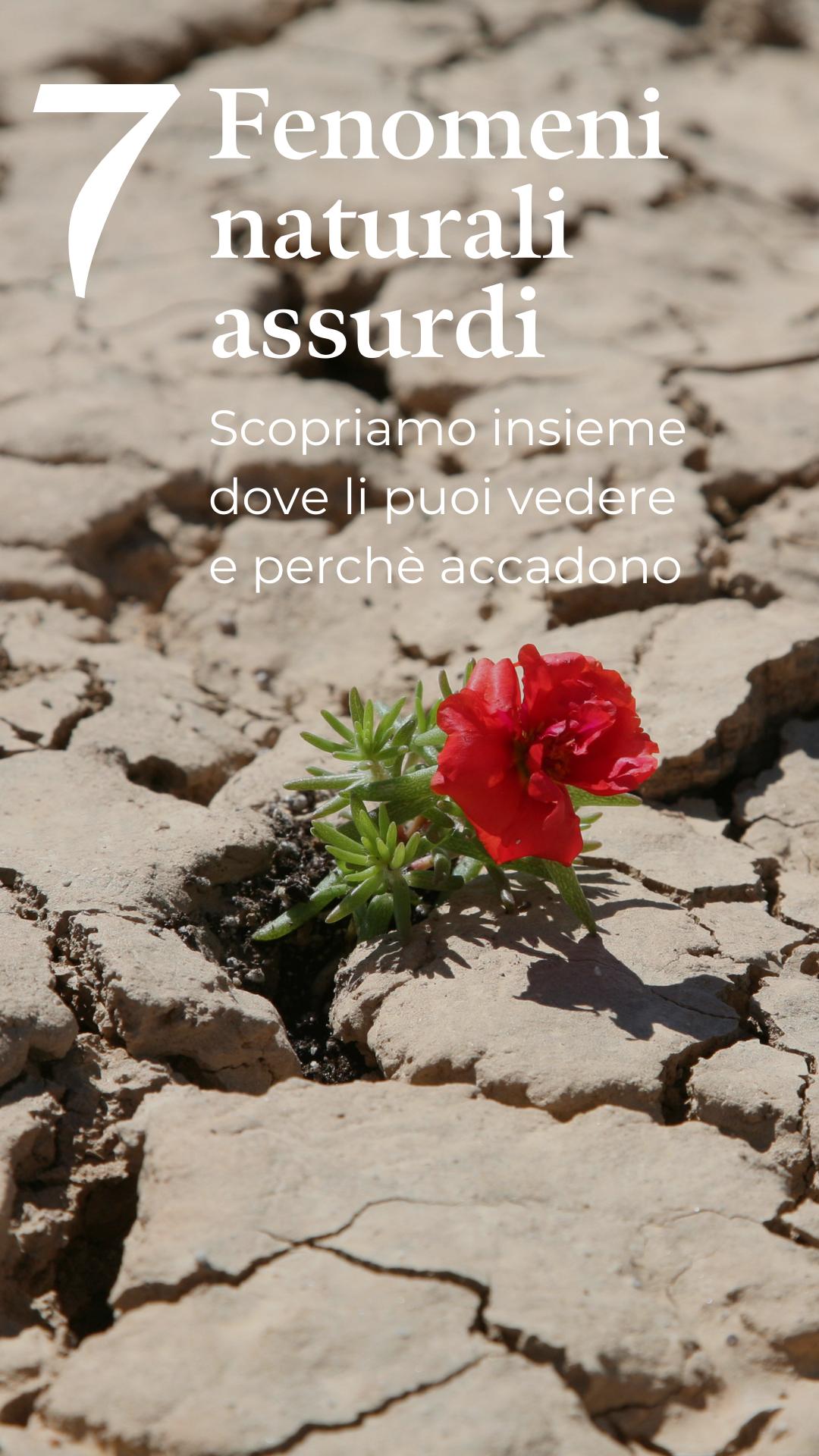 7 Fenomeni naturali assurdi che esistono davvero e il motivo per cui accadono