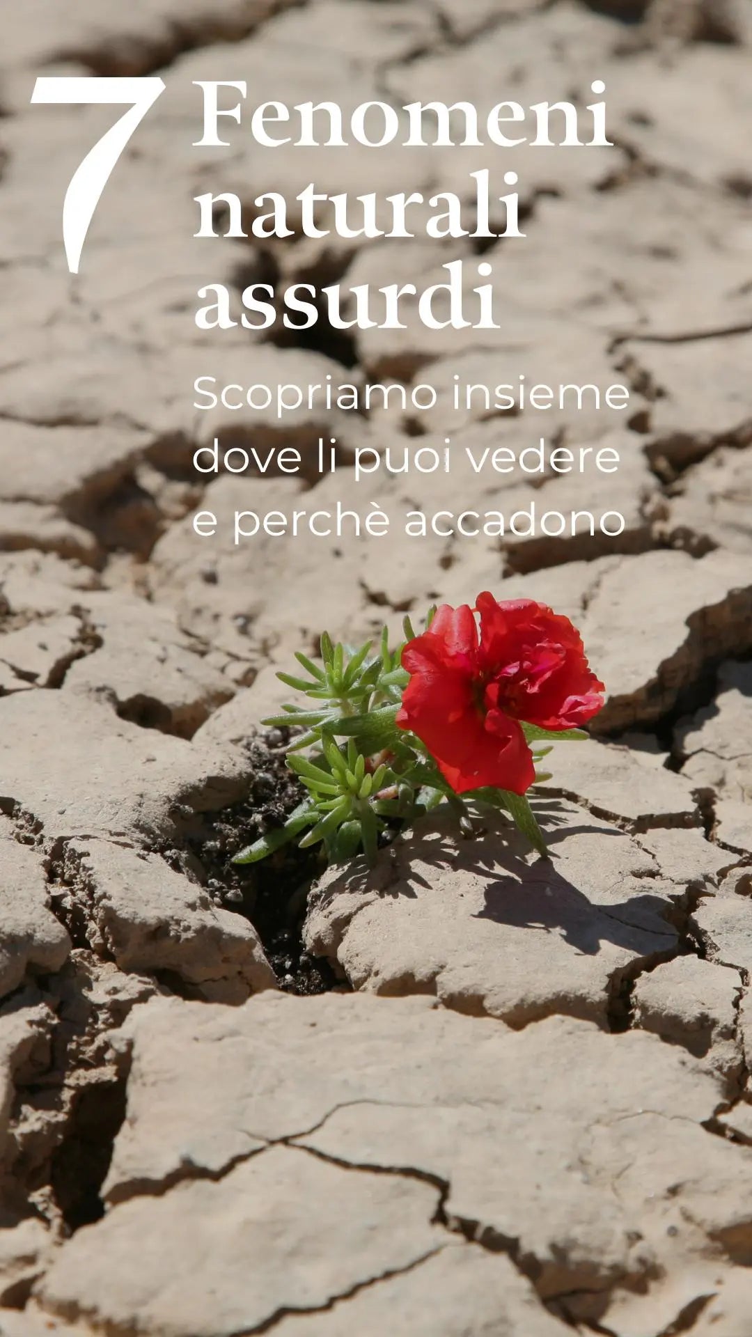 7 Fenomeni naturali assurdi che esistono davvero e il motivo per cui accadono