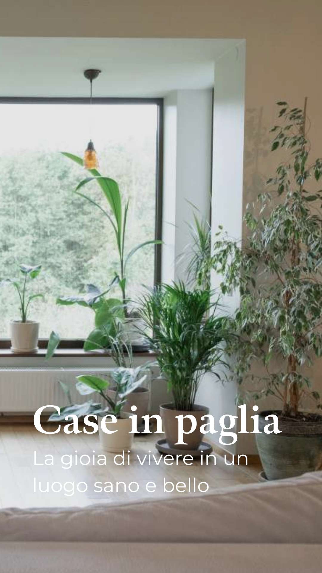 Case in paglia: la gioia di vivere in un luogo sano e bello