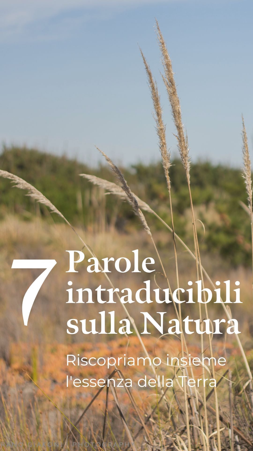 7 Parole Intraducibili sulla Natura: Riscoprire l'Essenza della Terra