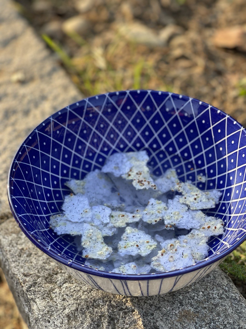 carta piantabile semi di fiori