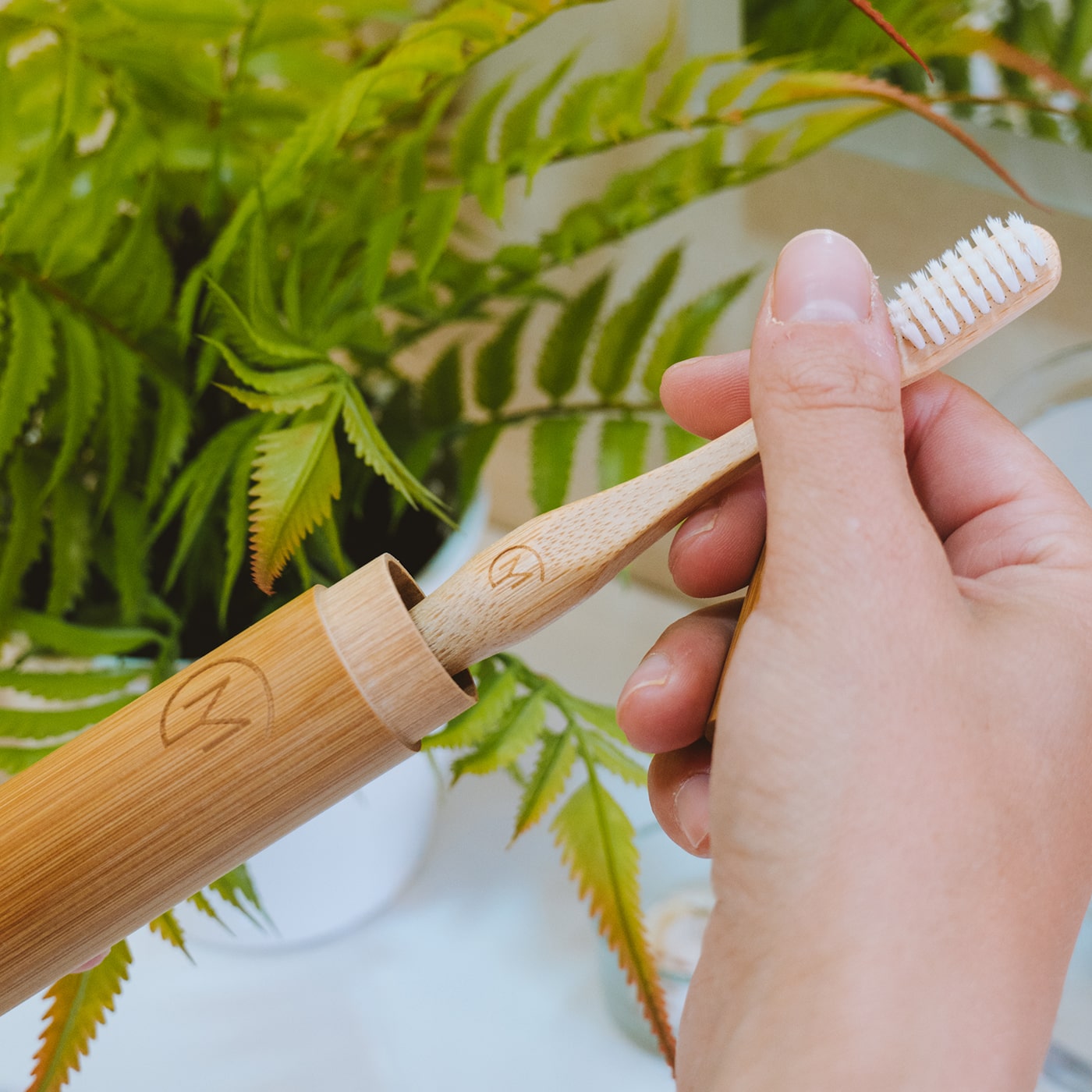 contenitore viaggio spazzolino bamboo