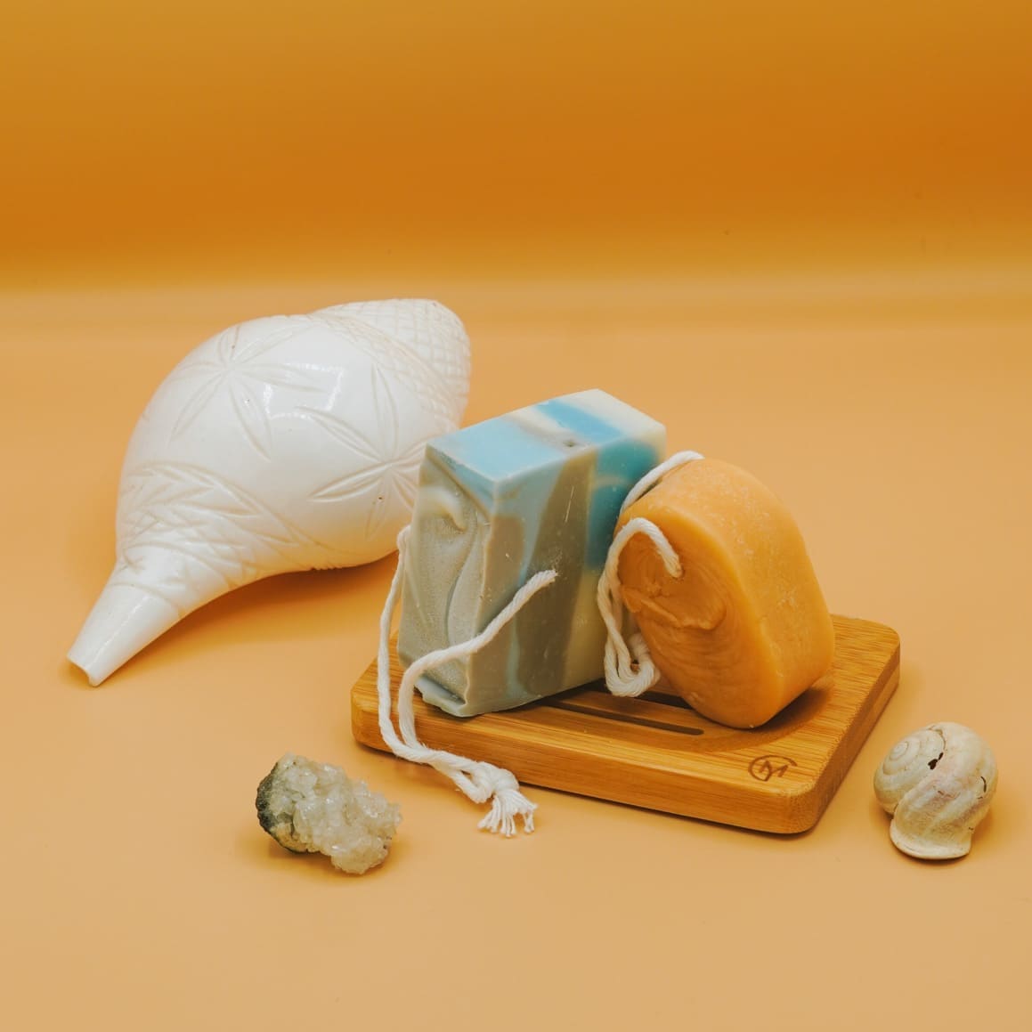 Kit germoglio Make You Greener