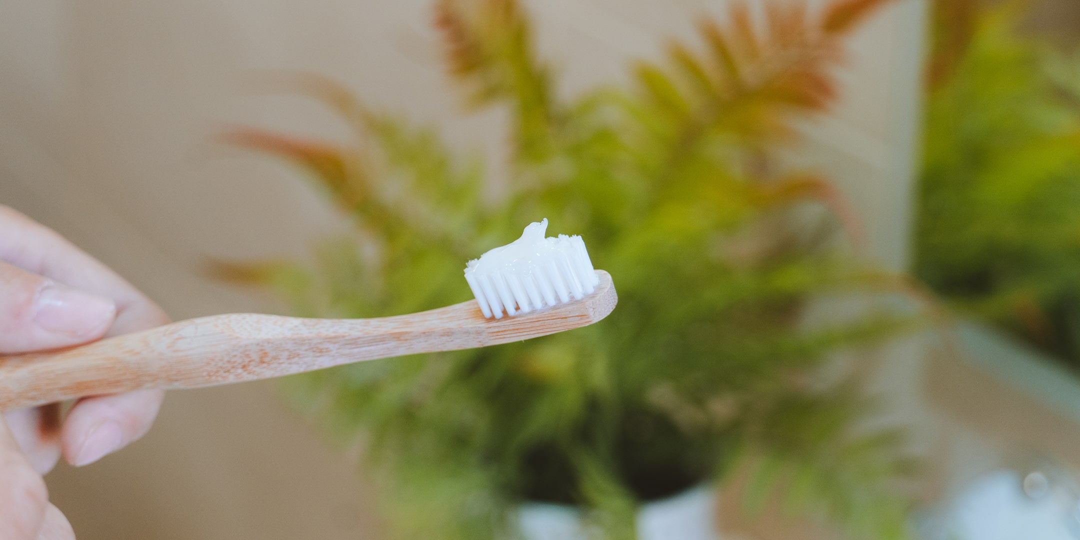 spazzolino bamboo ecosostenibile