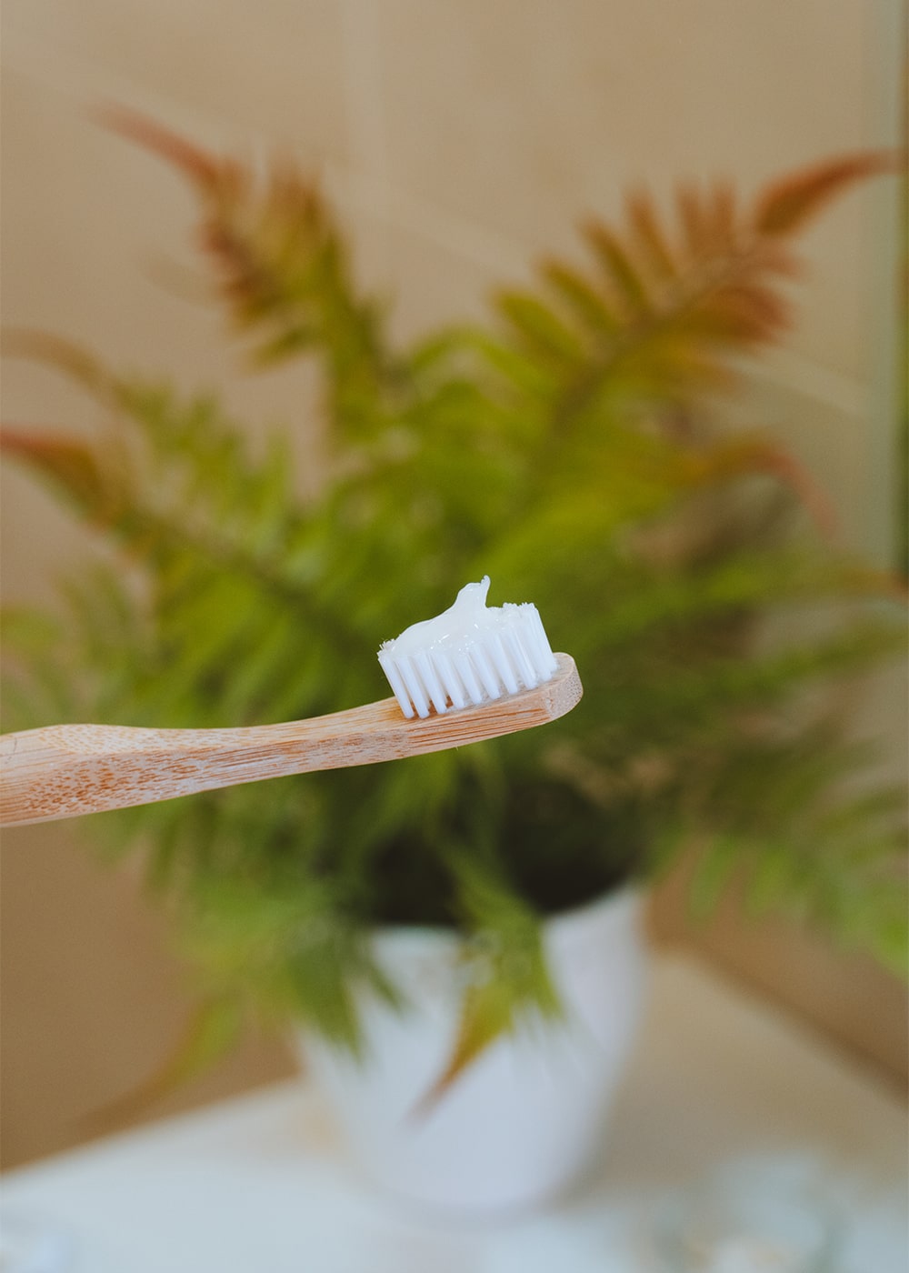 spazzolino bambu benefici