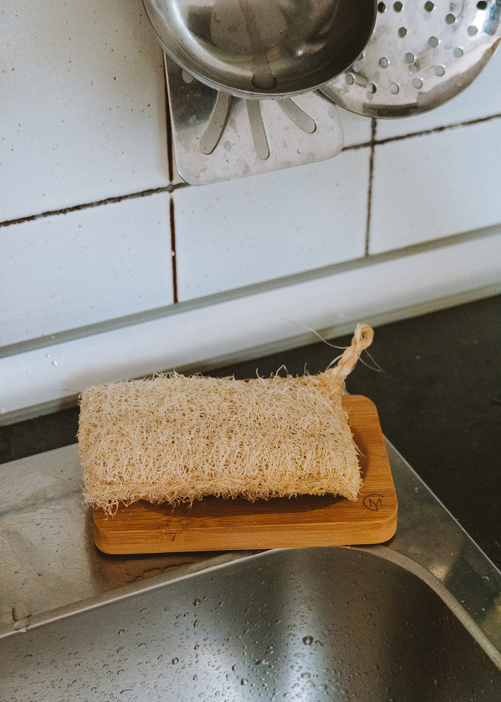 spugna di luffa zucca