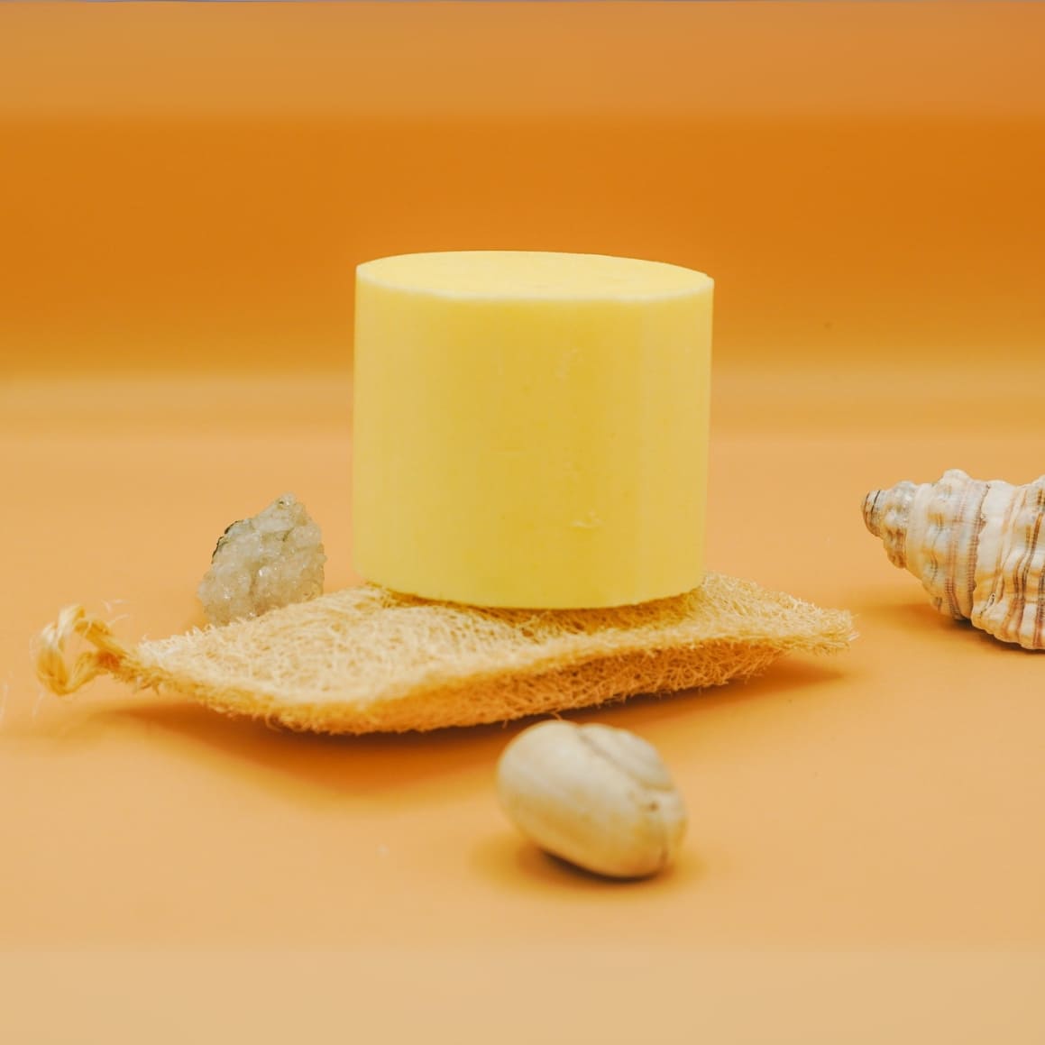 Spugna di luffa naturale