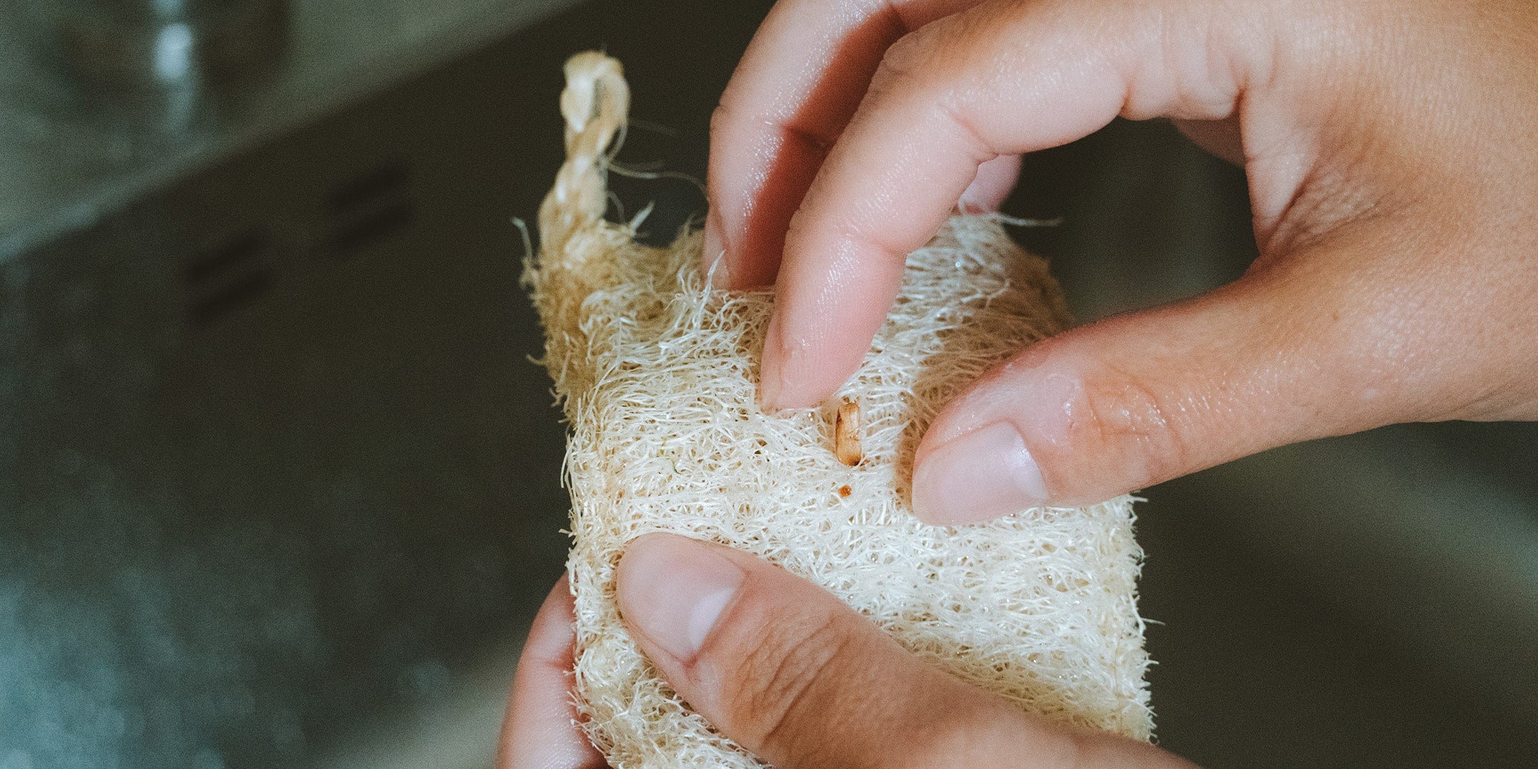 spugne naturali ecologiche