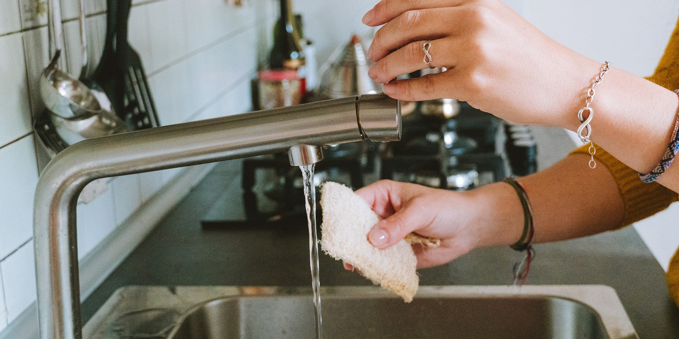 spugne naturali vegetali