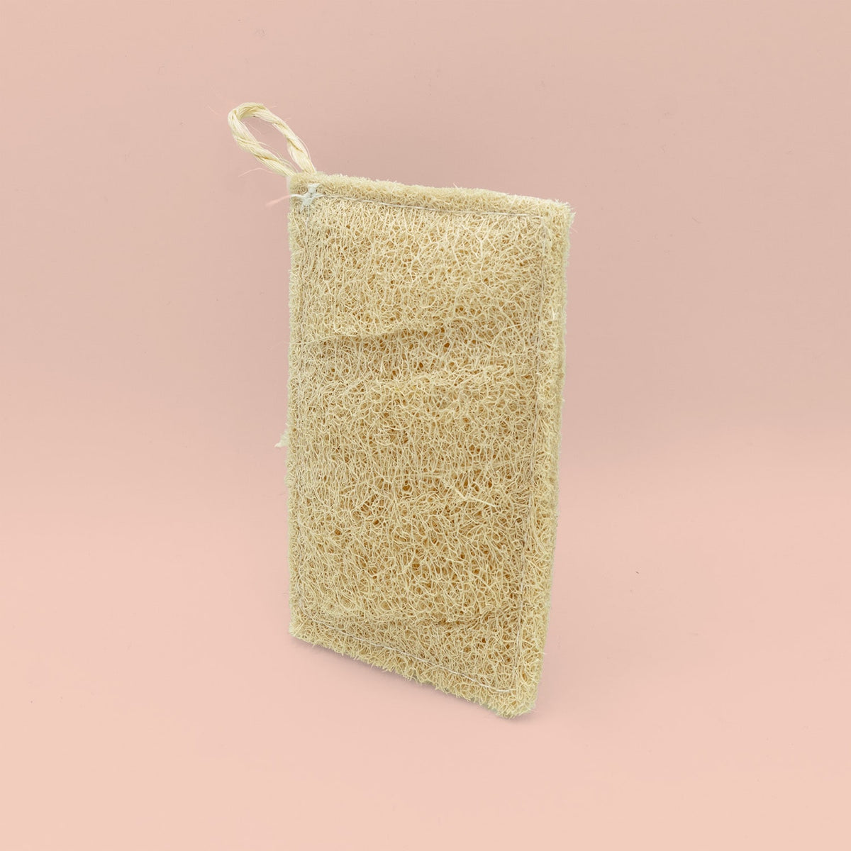 spugna luffa piatti vegetale