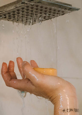 Shampoo + Balsamo solido 2in1 Papayo