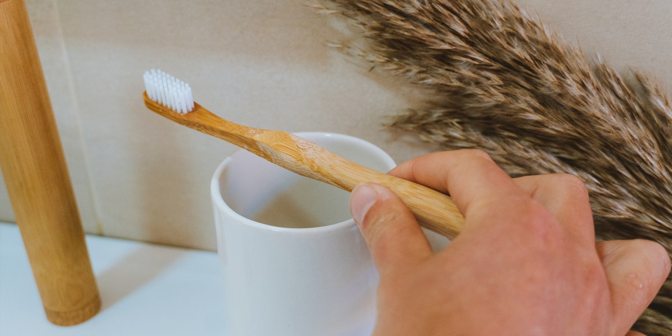 spazzolino denti bambu